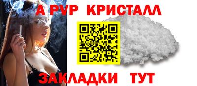 apvp Камышлов