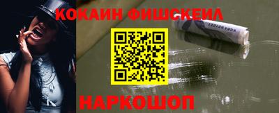apvp Камышлов