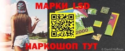 Альфа ПВП Канаш