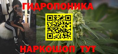 apvp Камышлов