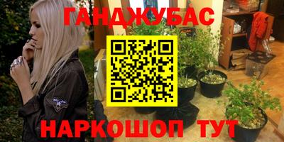 apvp Камышлов