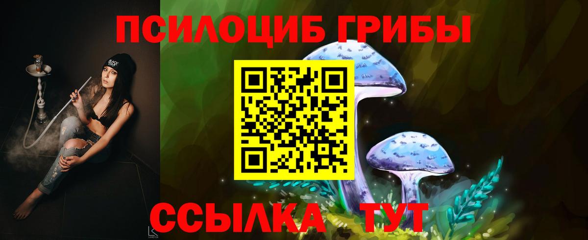 Галлюциногенные грибы мицелий Кыштым